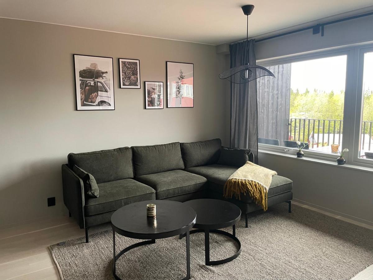 Apartmán Fjaellglim 22 Saelfjaellstorget Sälen Exteriér fotografie